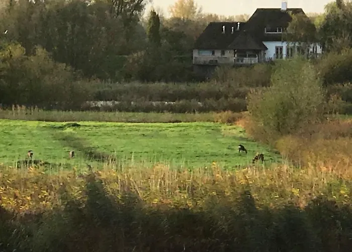 Szálloda Aan De Linge 3*