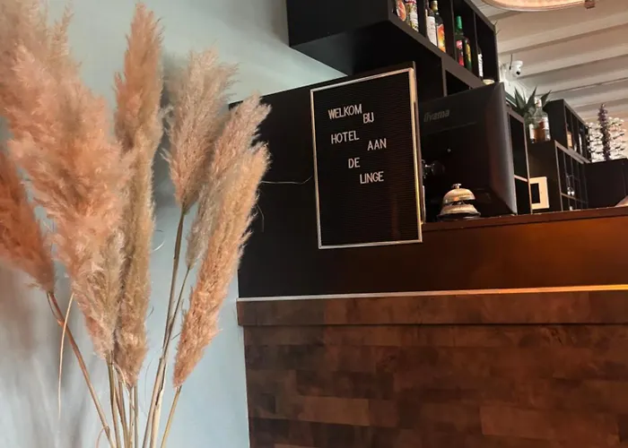 Aan De Linge Hotel 3*