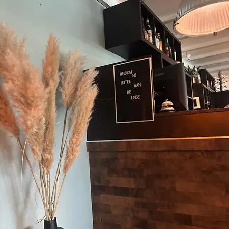 Aan De Linge Hotel 3*